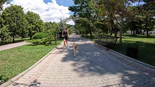 Дени приехал в Абрау-Дюрсо 🍇🍷Нагло искупался в озере 🙈 Пострелял из пушки в Новороссийске 🤭