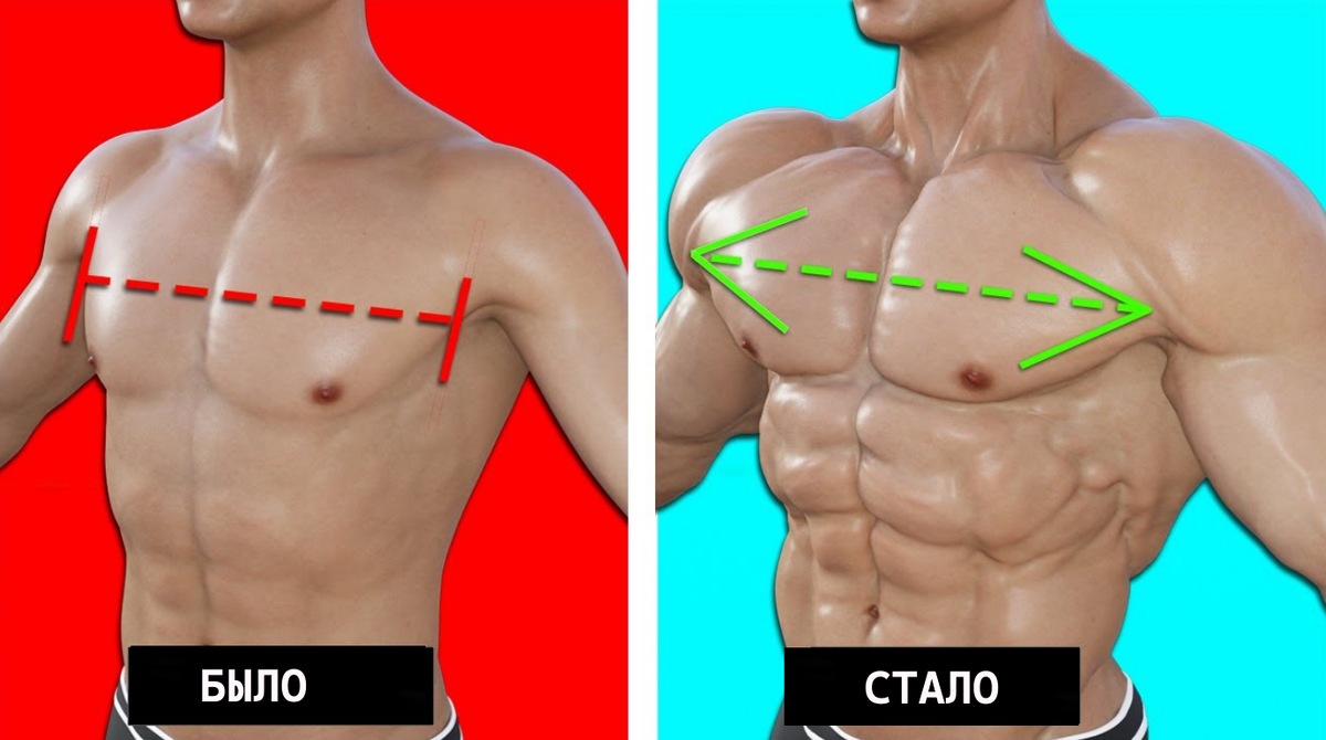 Как стать шире в плечах? Расширить скелет, плечевой пояс, костяк плеч |  Академия Спорта | Дзен