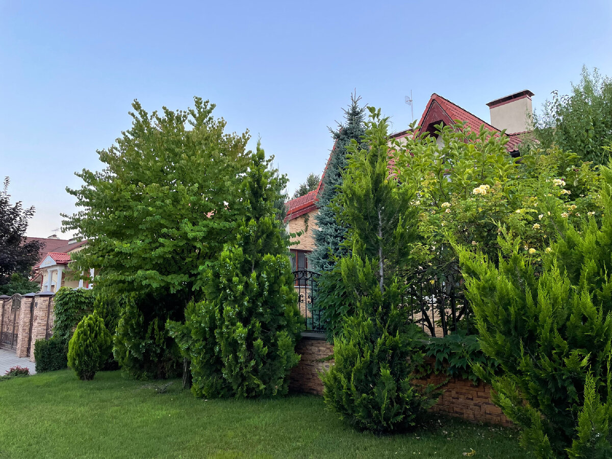 Задавайте свои вопросы в комментариях!