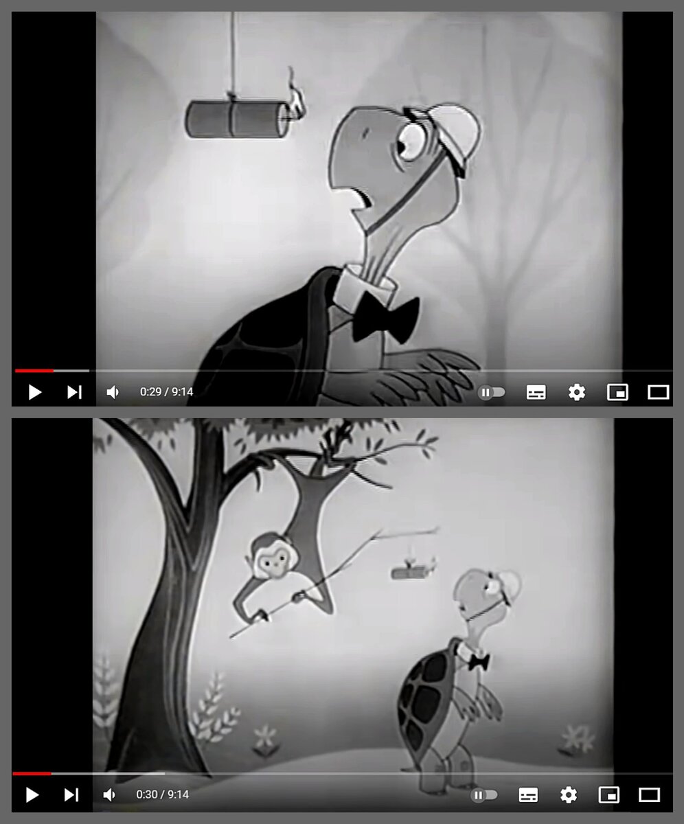 Черепаха Берта собирается «укрыться» от непосредственной угрозы.