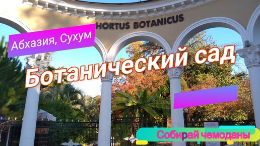 Ботанический сад в городе Сухум