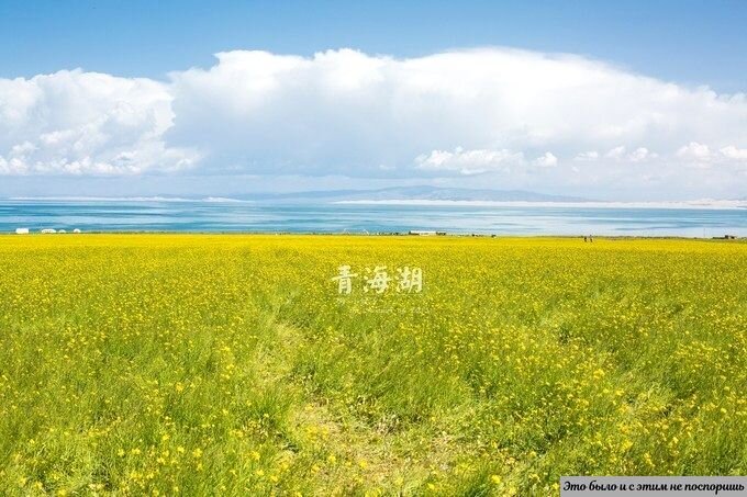 Берег озера Цинхай. Источник – https://clck.ru/sbRHY 