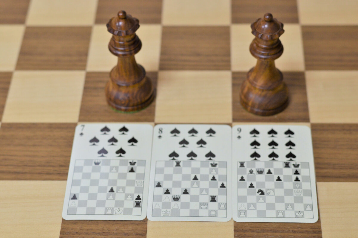 Как грамотно начинать шахматную партию? | Школа Шахмат Chesswave | Дзен