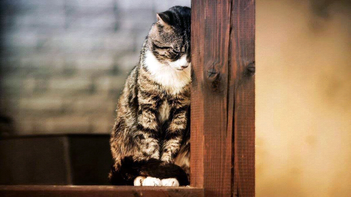 источник фото: stihi.ru