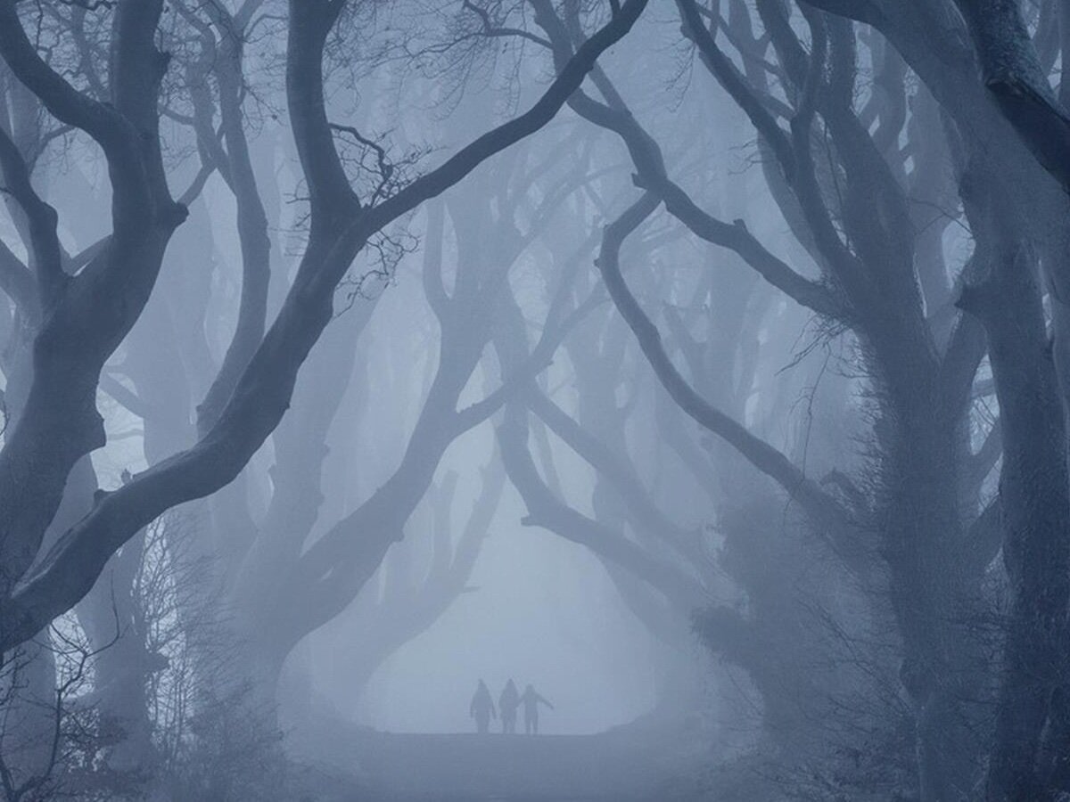 Туман в Dark Hedges явно добавляет загадочности этому месту