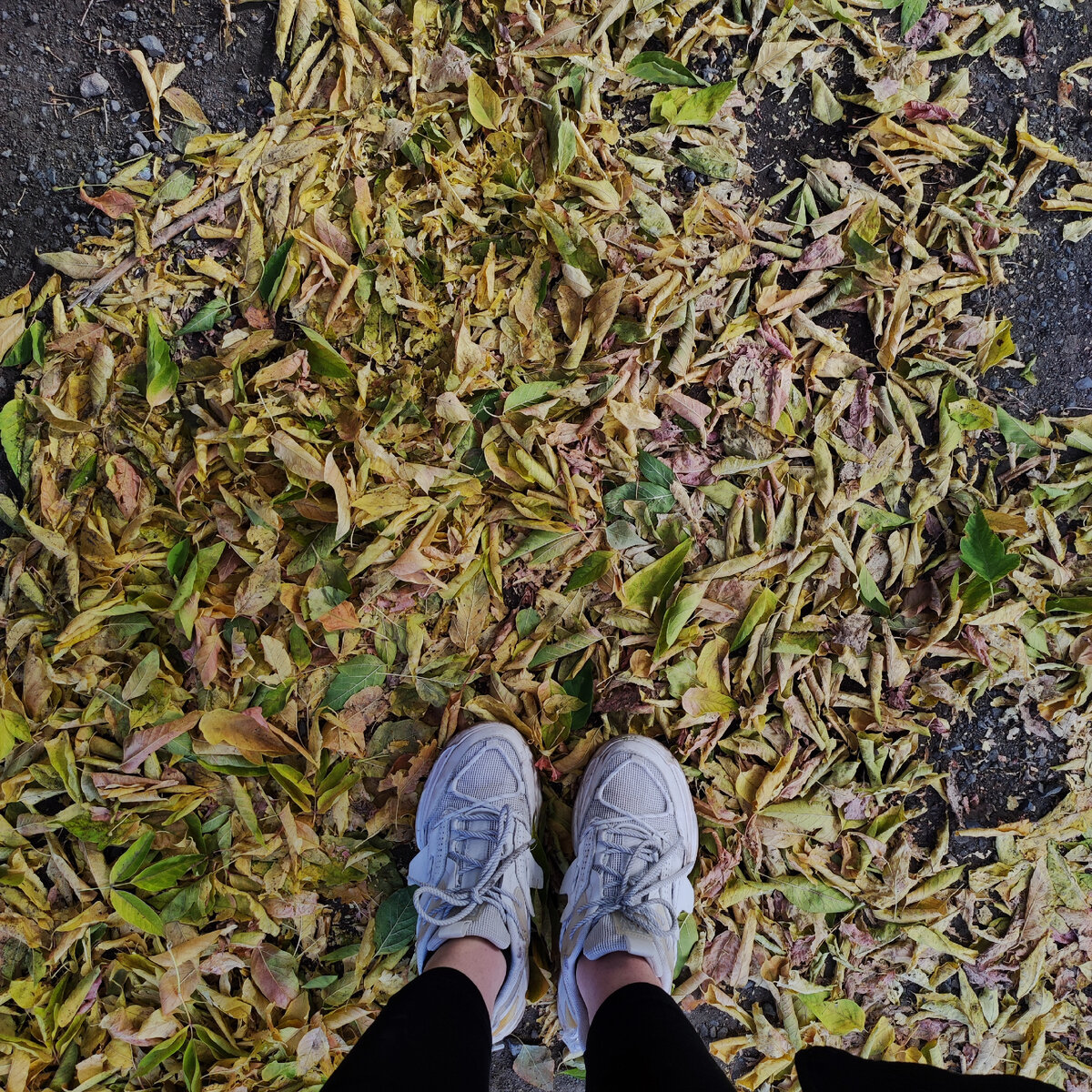 Изображение автора 