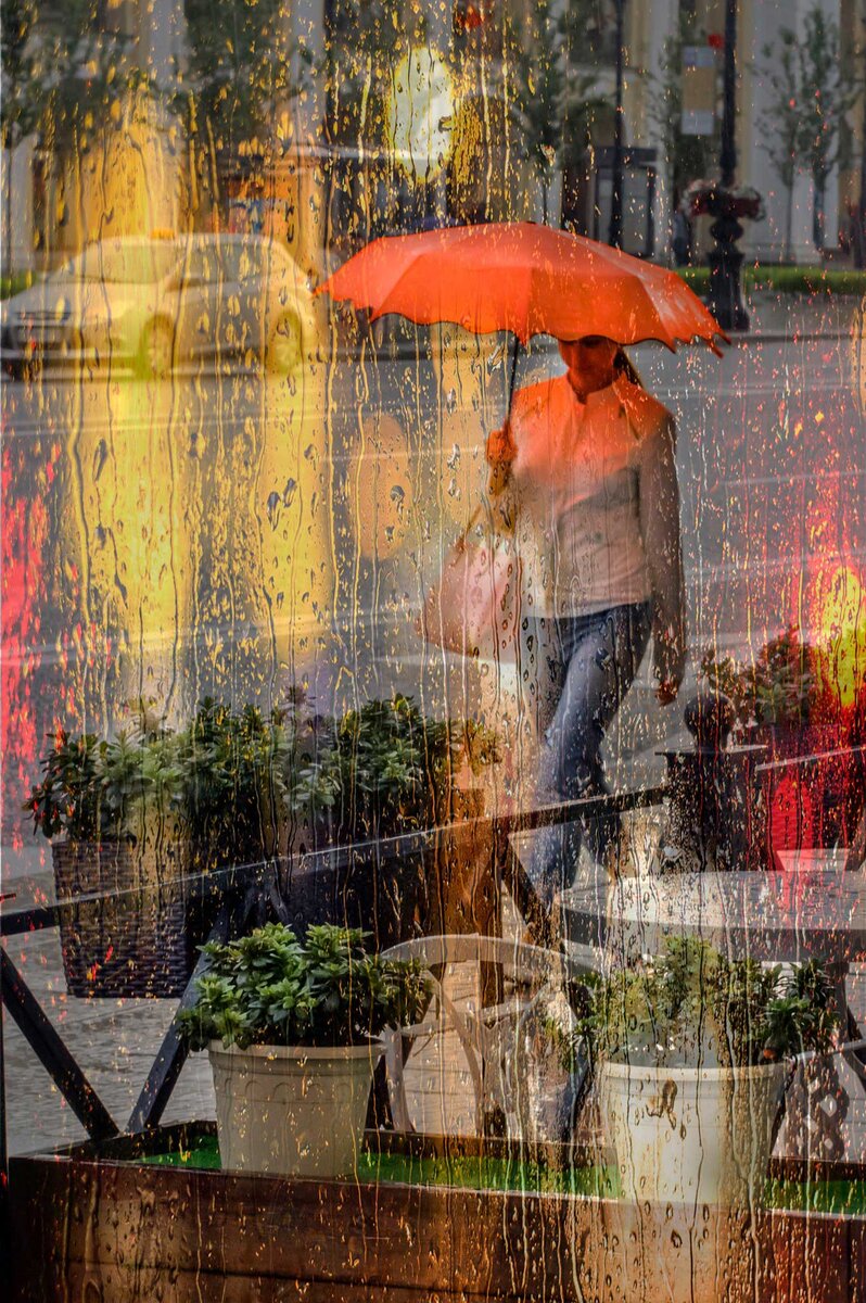 @ Лариса Шамбраева