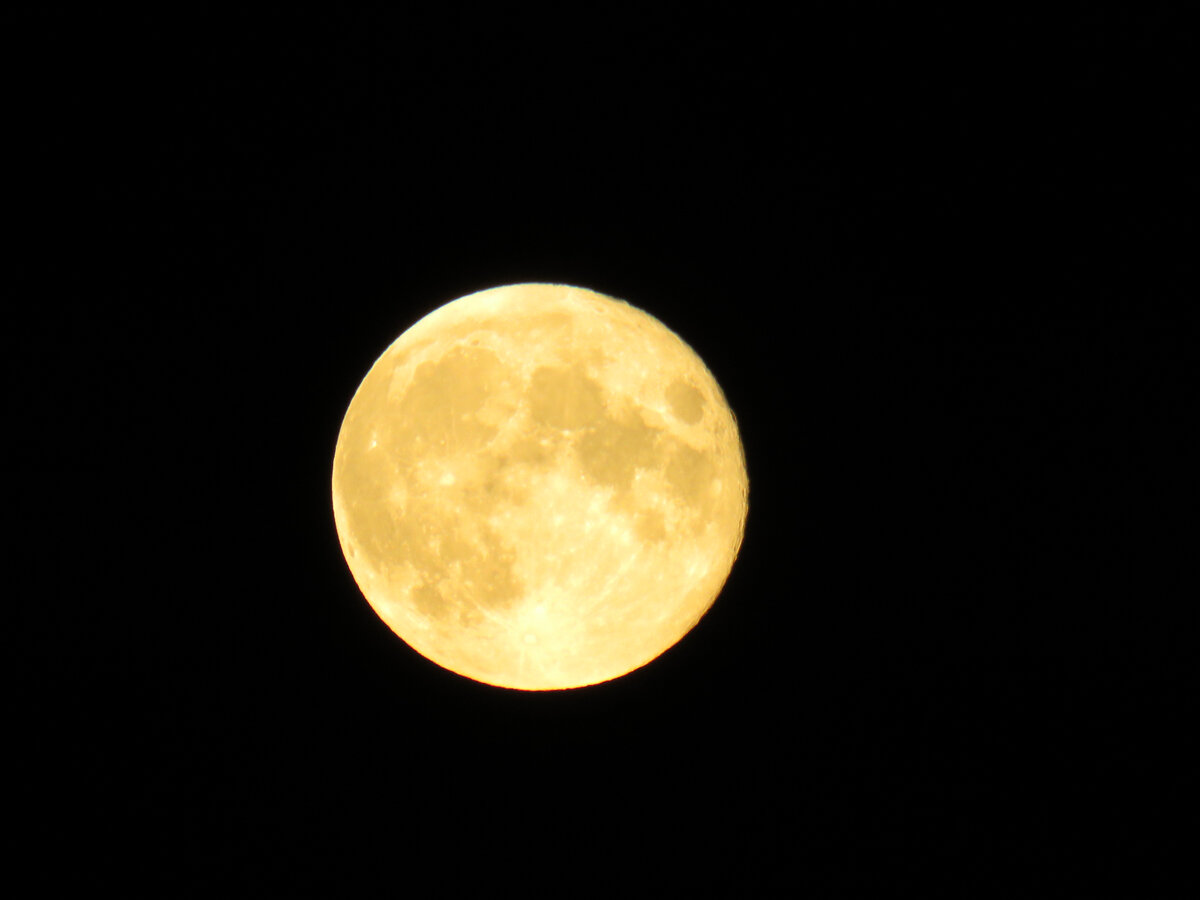 Затмение Луны векторе. M21 Luna. Луна в 10 м