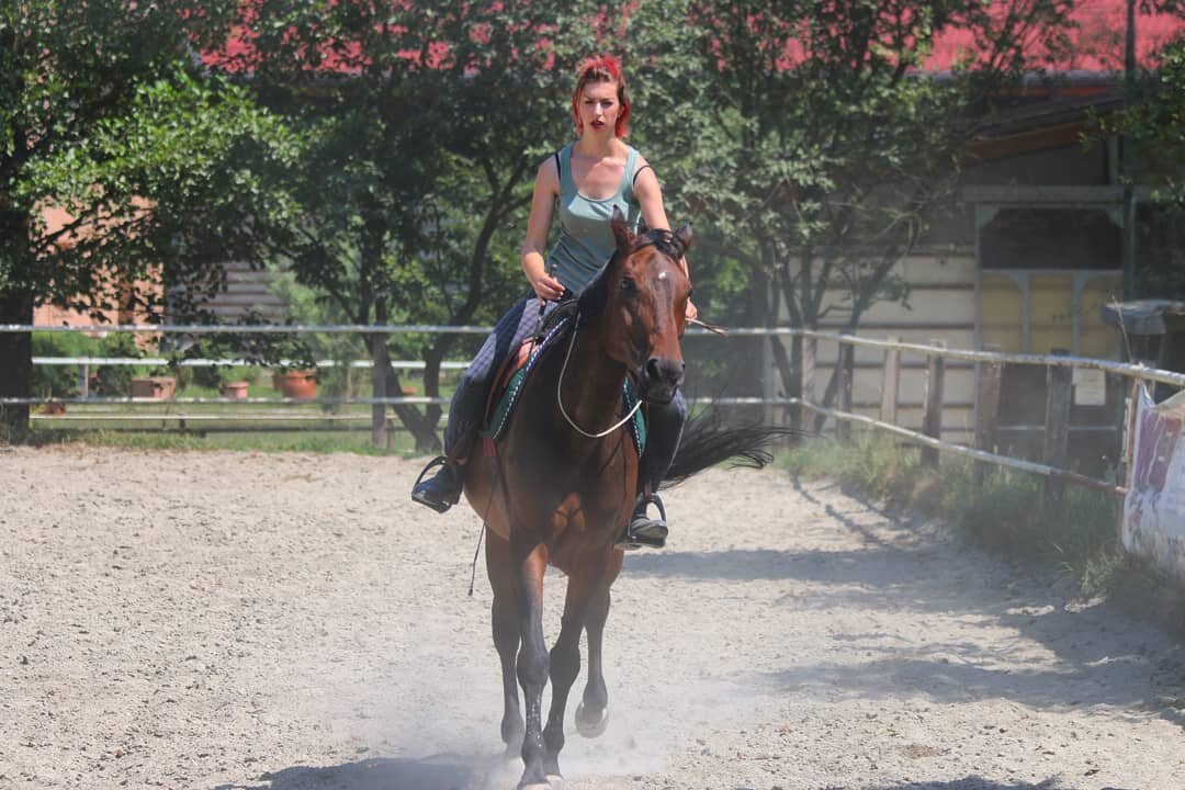Раньше не было никаких "Natural Horsemanship", мягких методов и т.д. Интересно, почему? Принято считать, что это всё потому что раньше отношение к лошадям было лишь потребительским. А может быть истина в том, что раньше не нужно было изобретать какое-то специальное направление, чтобы напомнить людям о том, что к окружающим нужно относиться по-человечески? Человеческое отношение и так было в порядке вещей? 