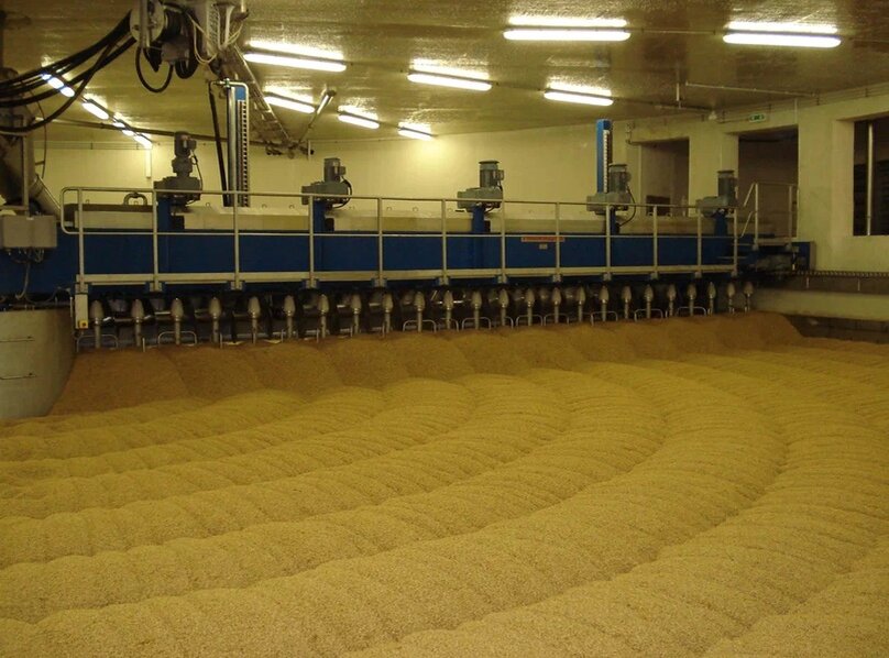 Подпись: Ящик для проращивания зерна по диаметру больше, чем две арены цирка, а слой зерна достигает 1,5 метра