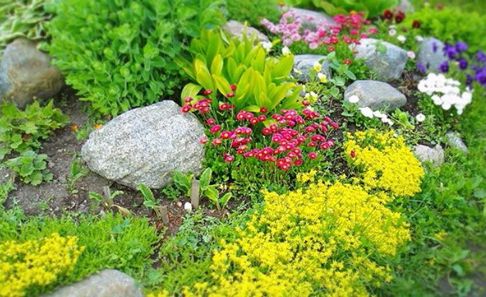 🌱🌾🌺АЛЬПИЙСКАЯ ГОРКА: ПОШАГОВОЕ ОПИСАНИЕ КАК СДЕЛАТЬ АЛЬПИНАРИЙ СВОИМИ РУКАМИ.