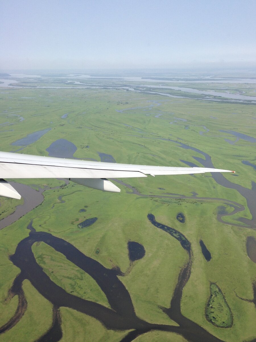 С самолета видна река Амур - потрясающе