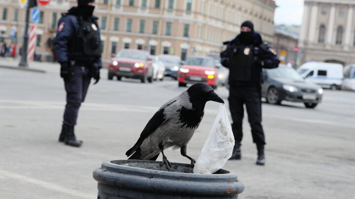 ФОТО: ZAMIR USMANOV/GLOBALLOOKPRESS