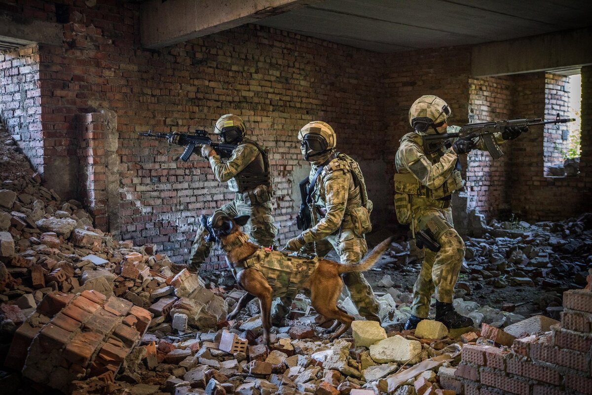 Реальная картина сво на украине