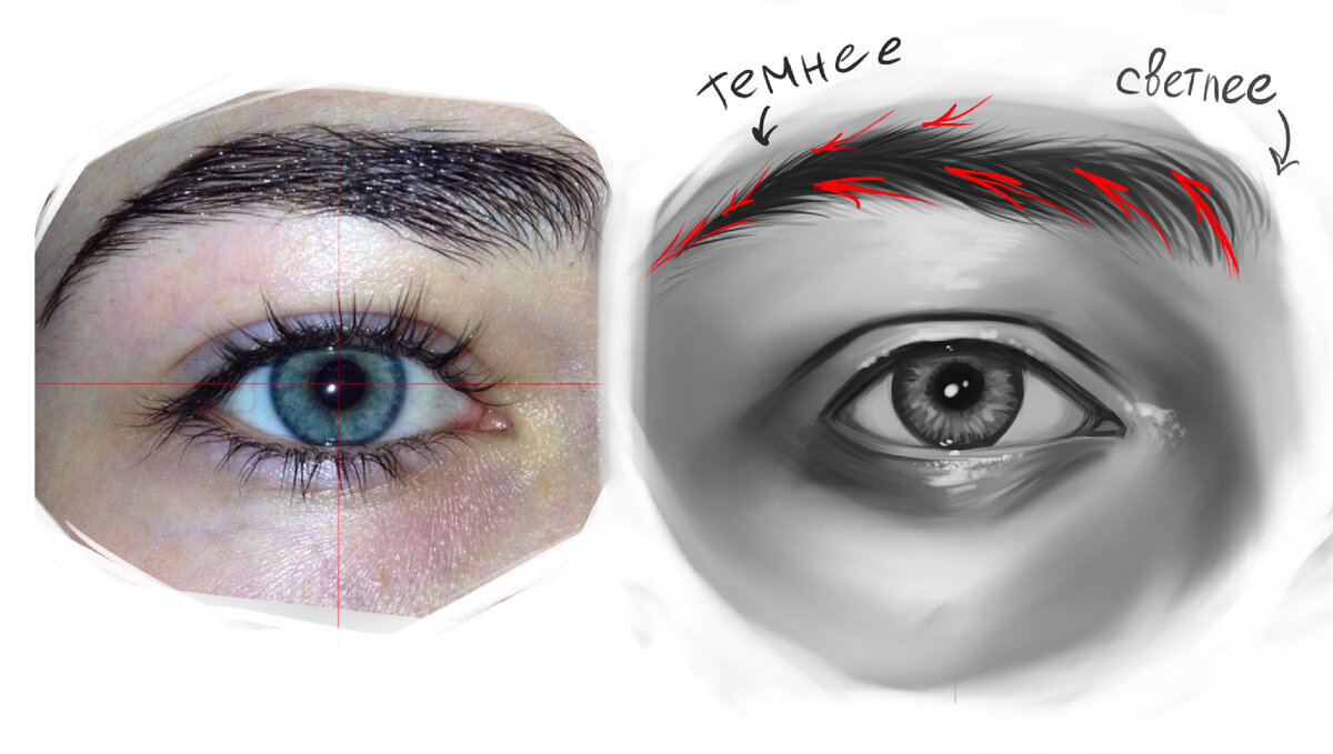 Как рисовать глаза поэтапно? Полное руководство к действию! Не оставляйте  свои портреты без зеркала души ;) | Ne хyдoжka | Дзен