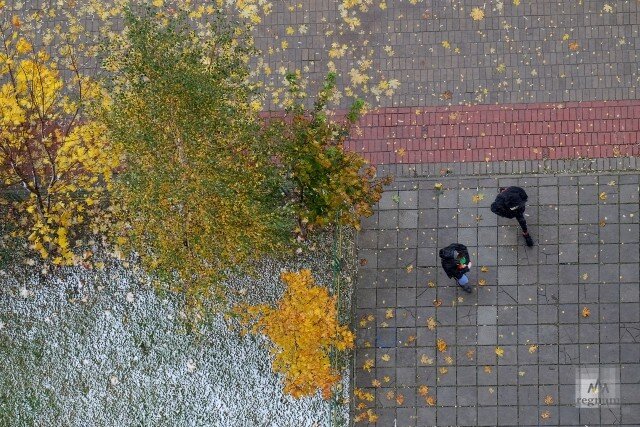    Первый снег Наталья Стрельцова © ИА REGNUM