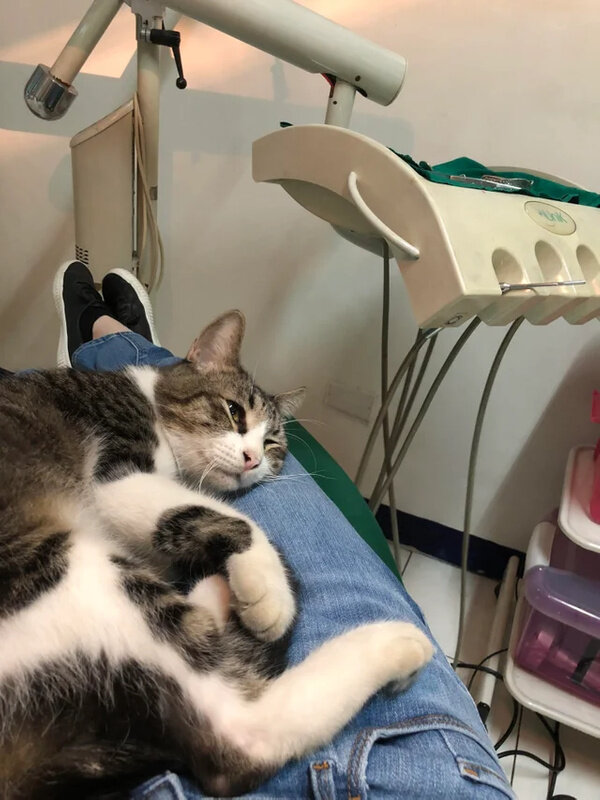 Фото © Reddit / samranola