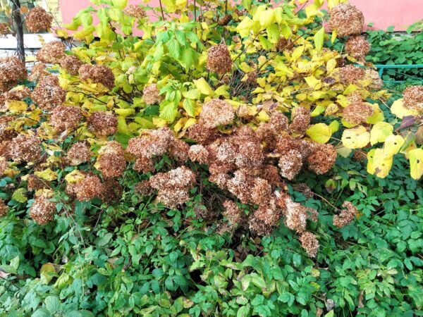    Фото: Екатерина Иванова