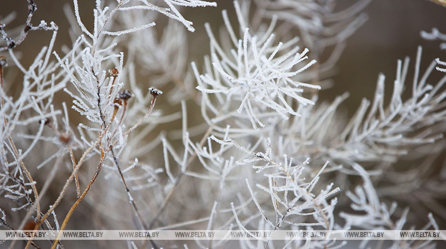    Фото из архива