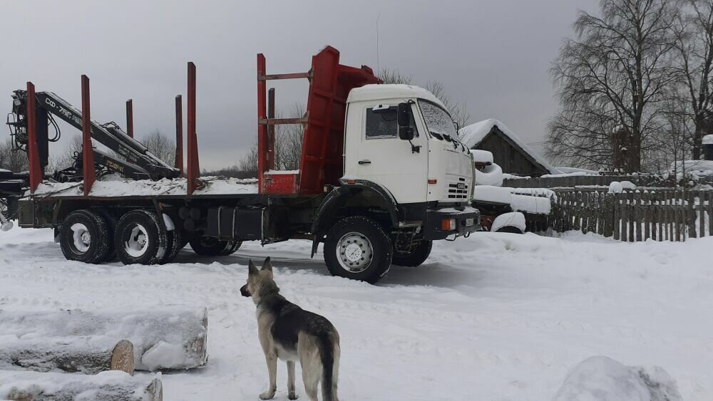 Эбби раздумывает в какую бы сторону пойти