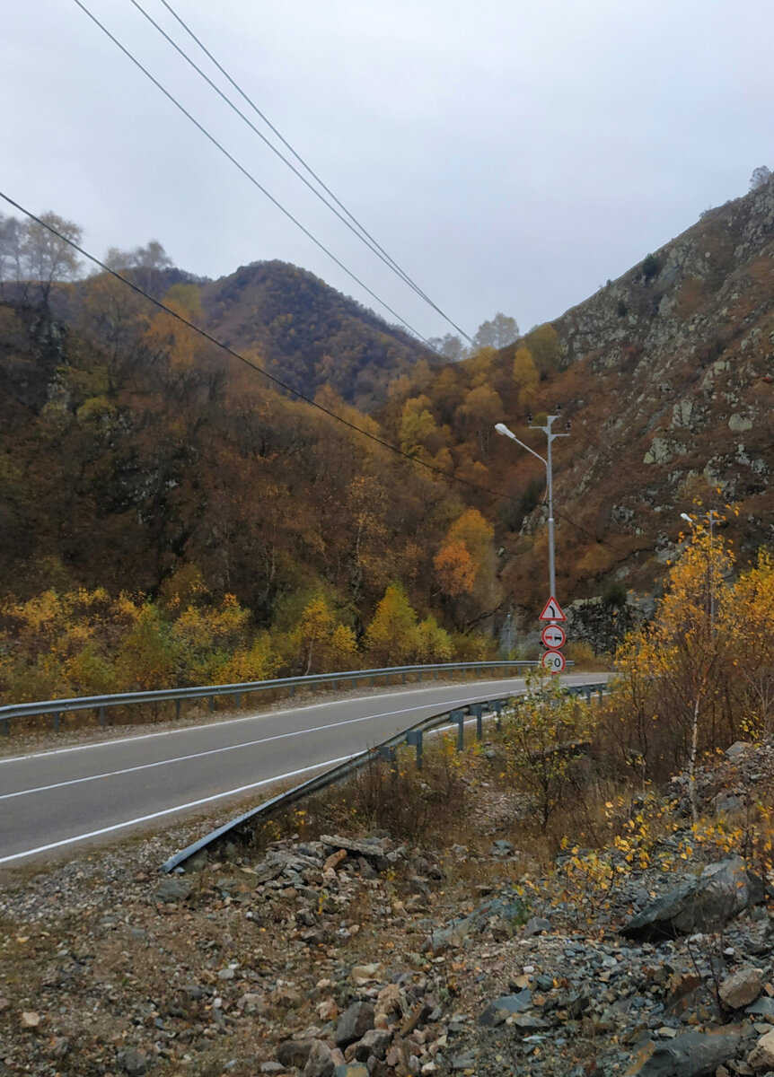 Дорога в экопарк