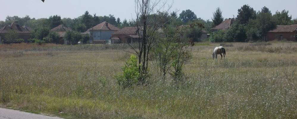 Сельский пейзаж Рогозена (источник фото: Интернет)