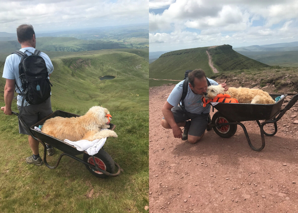 Фото © Facebook / The Brecon and Radnor Express 