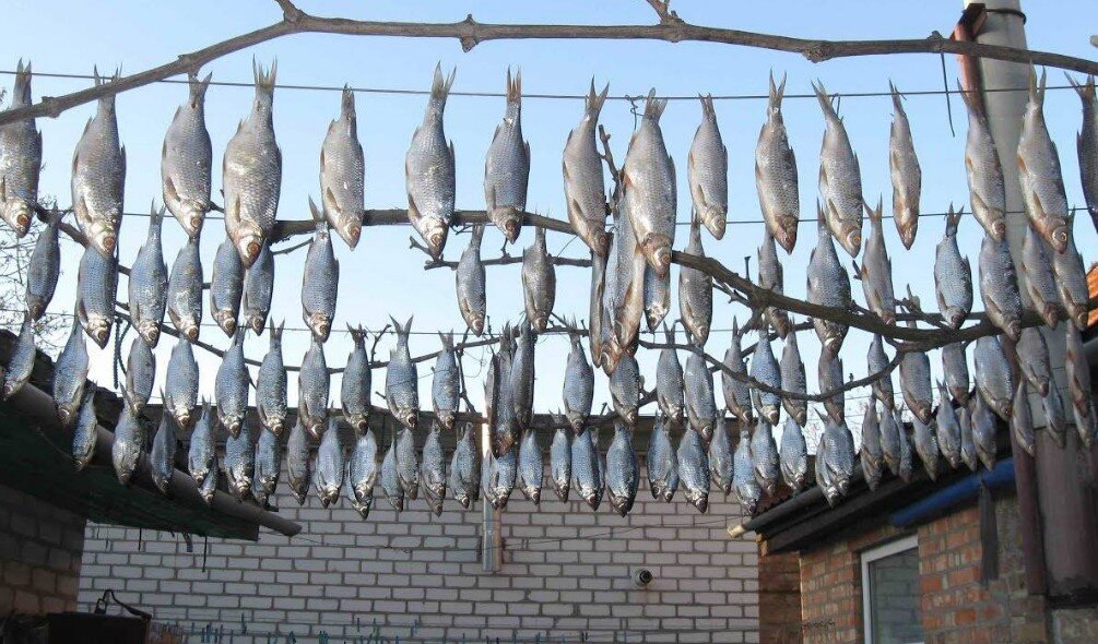 Не советую так сушить