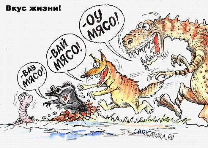Из открытых источников