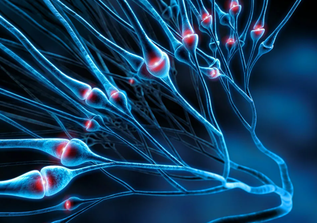 Синаптогенез (стилизированное изображение из открытых источников)