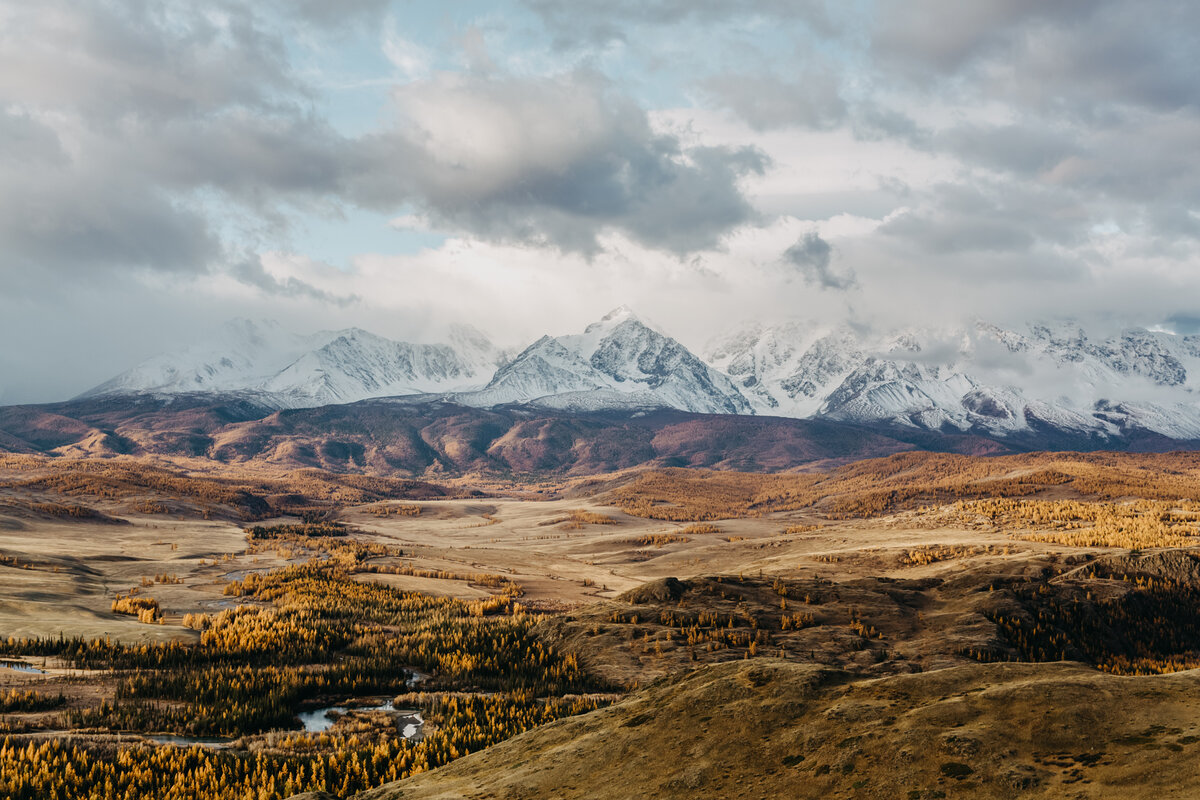 Прекрасный Алтай, Курайская степь.