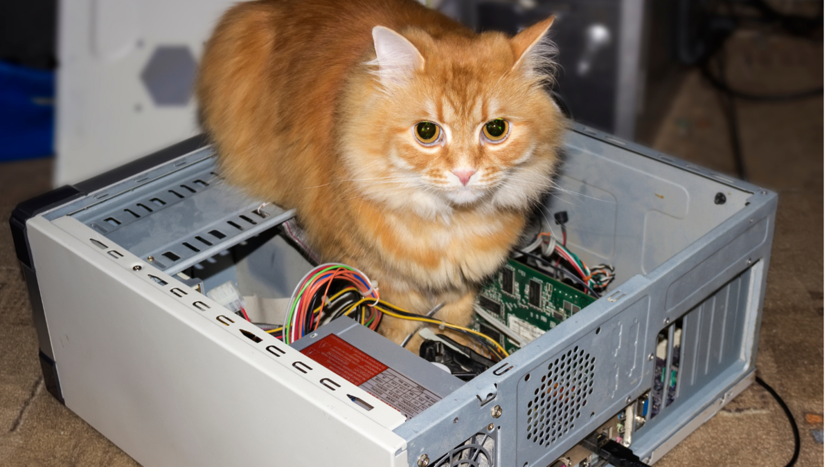 Подготовлено с использованием сервиса и платной подписки Canva Pro