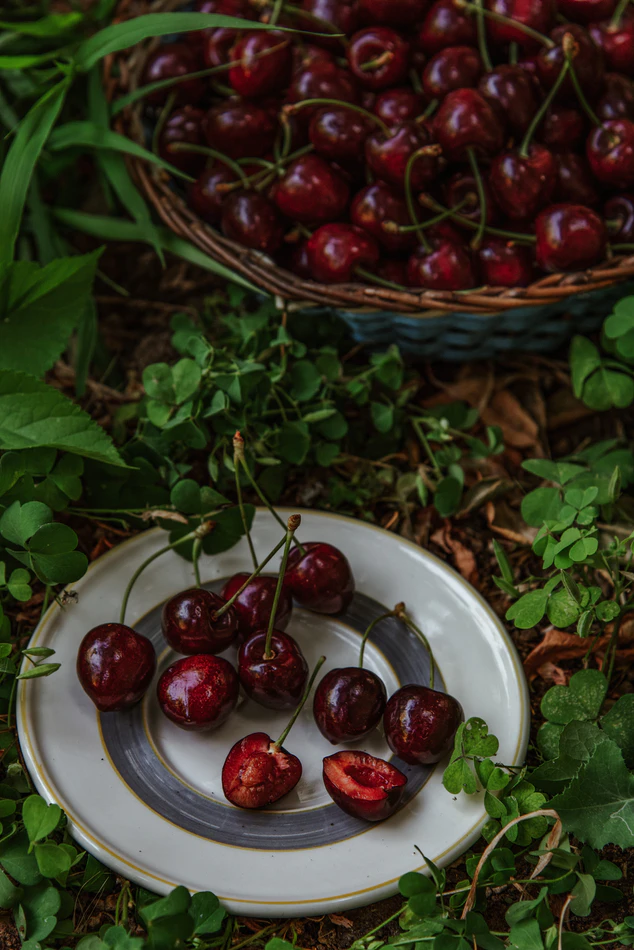  элStill life photography #cherry #summertime   leila nasrollahi  https://unsplash.com/photos/SKcNR2kpej4