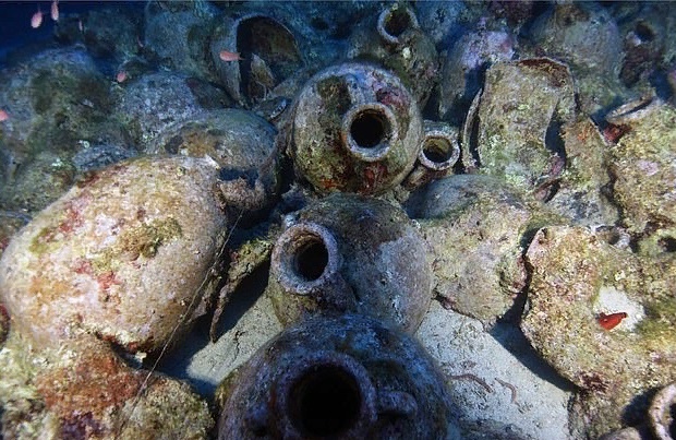 Источник: Университет Патр