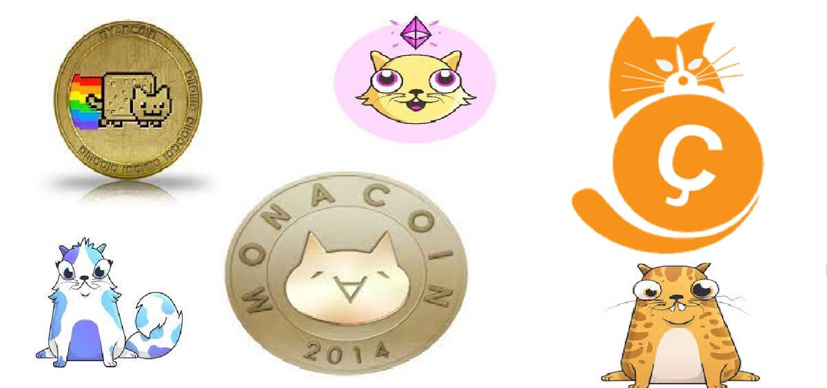 Котики всегда популярны. Этим активно пользуются создатели криптовалют