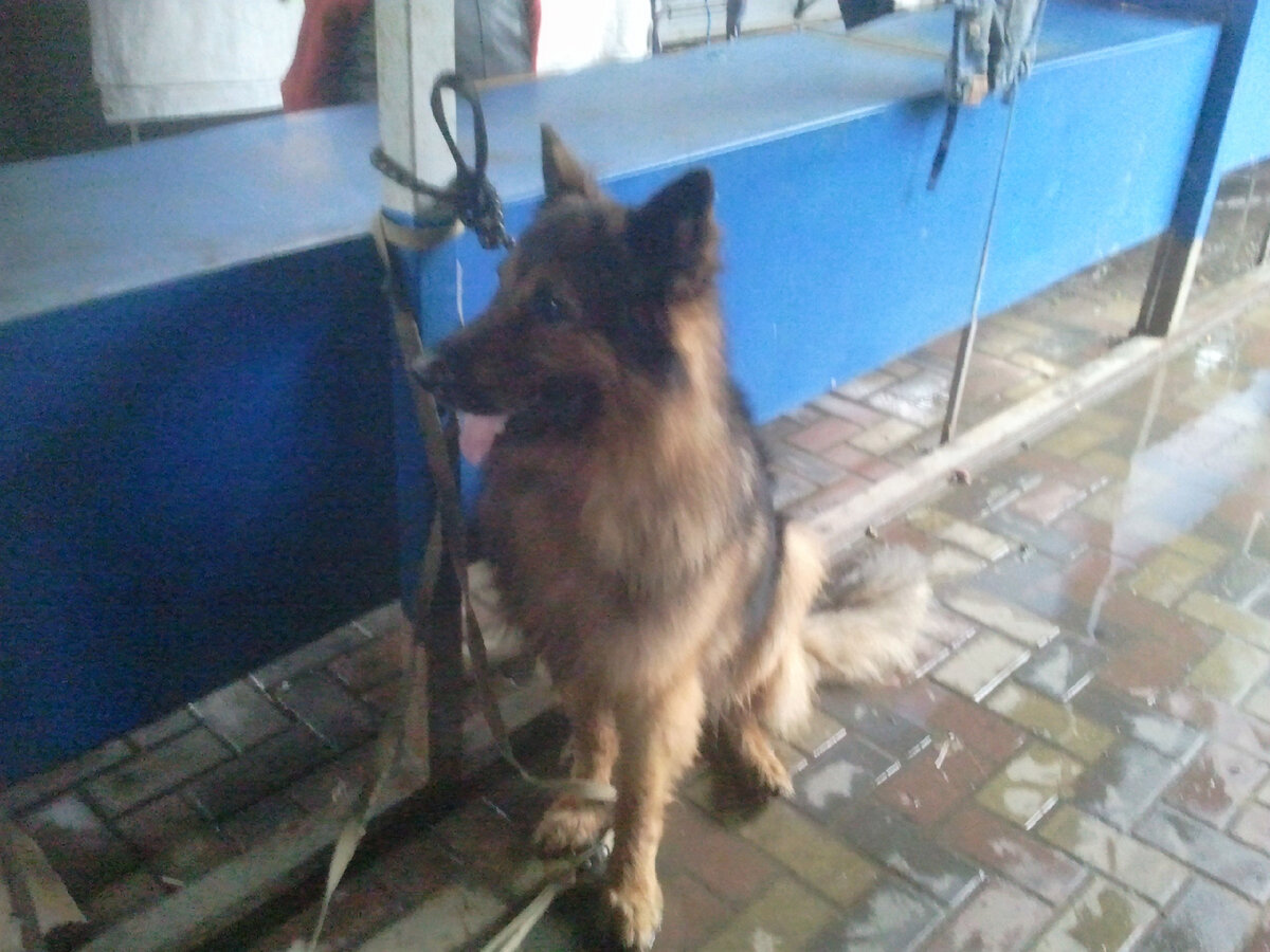 Зевс и рынок дальше