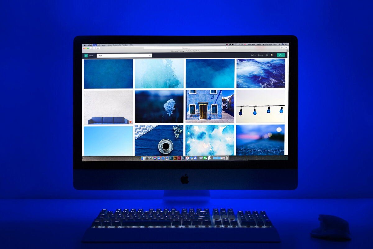 Windows 11