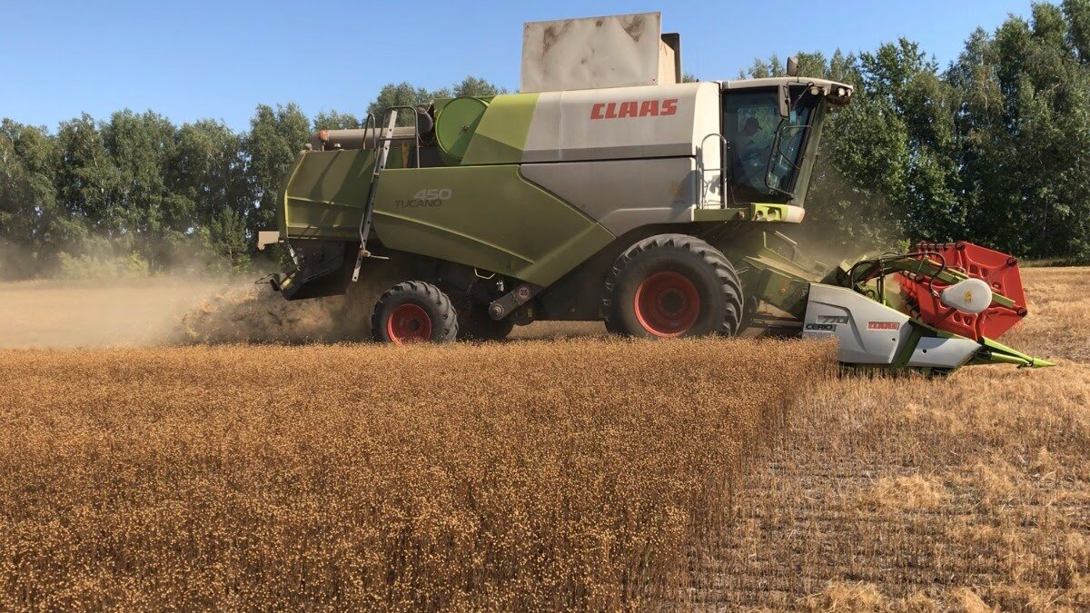 Комбайн CLAAS TUCANO 450 в работе . Фото: Пресс-релиз CLAAS