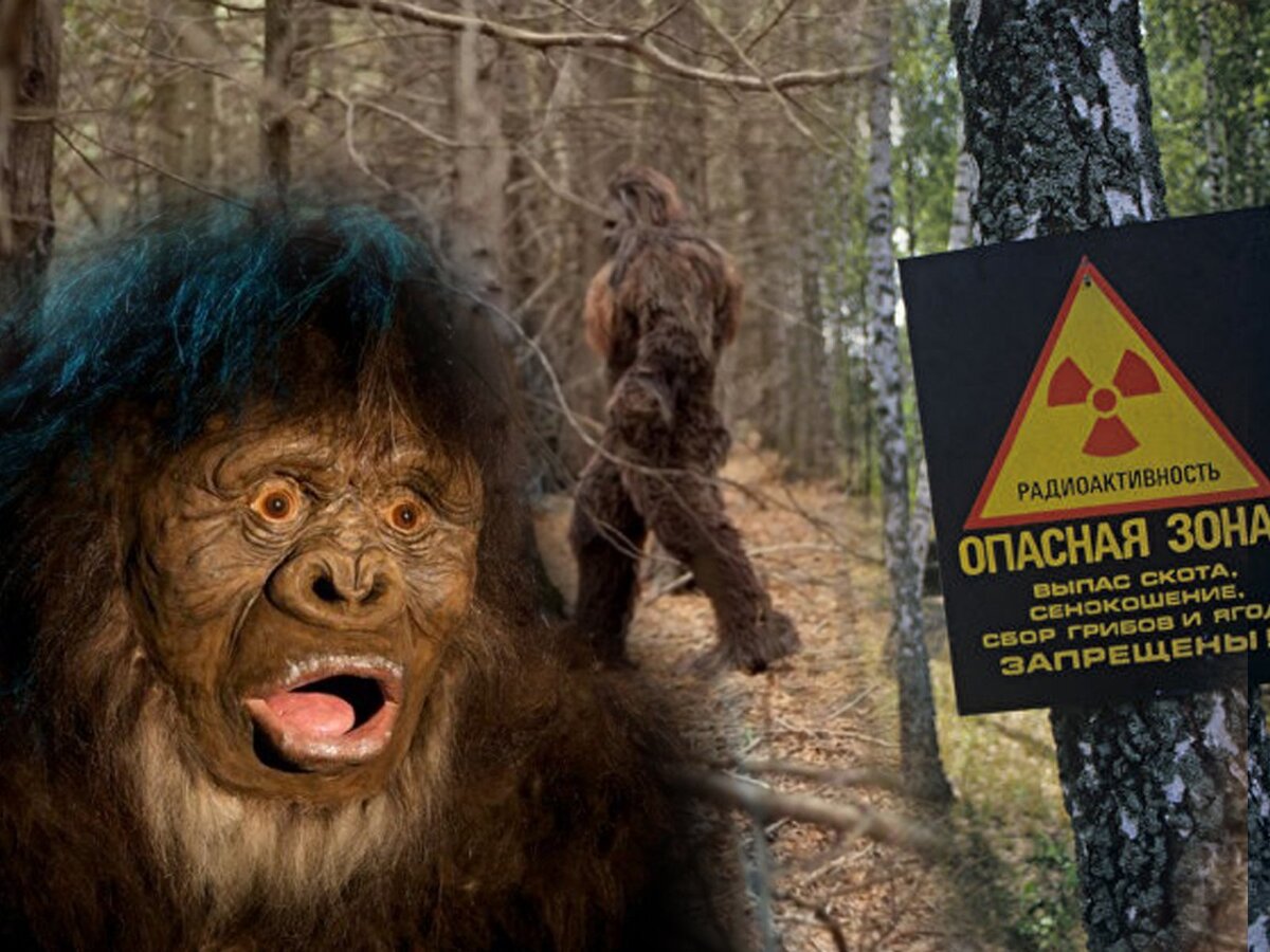 Мифы Чернобыля