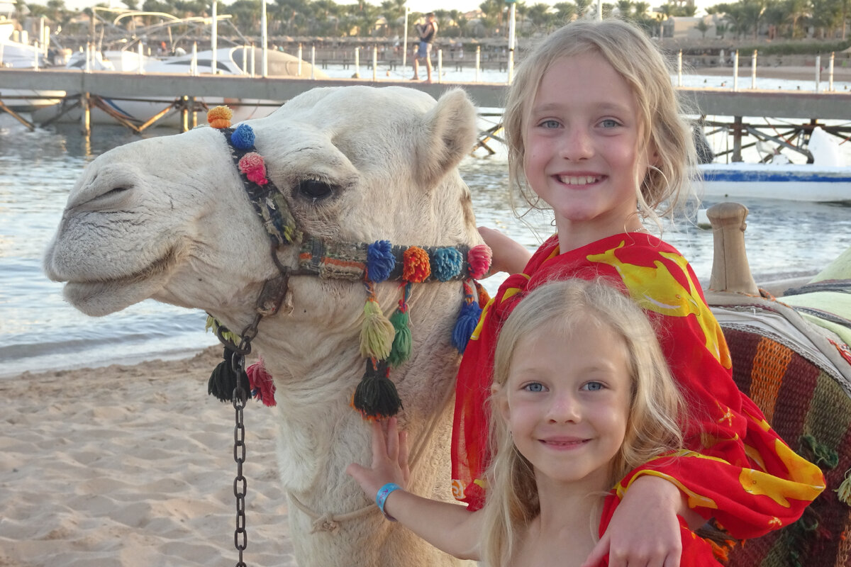 Верблюд Оскар улыбается вместе с детьми на пляже Sunrise Royal Makadi Resort . Фото автора.