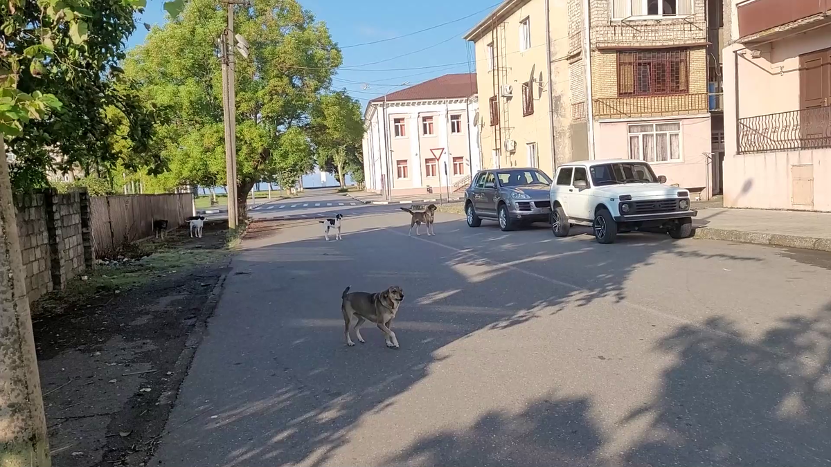 Я думал, что это город-призрак... Показываю, как выживают в некогда богатом  городе Абхазии | Русские тайны | Дзен