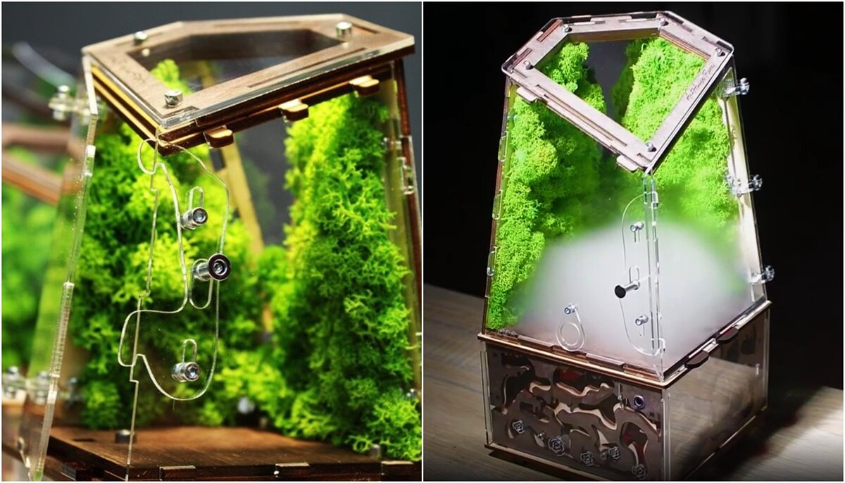  Корпус выполнен из пищевого прозрачного акрила.