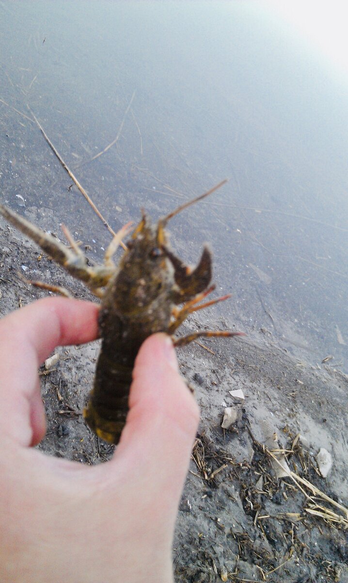 Фото из архива автора 2010 год