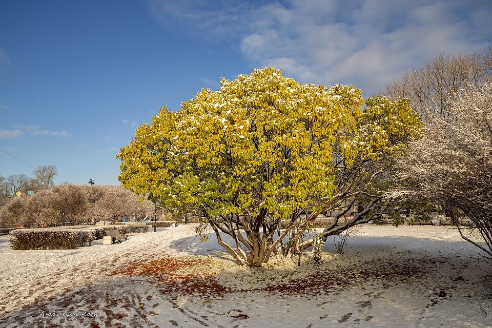 День необходимо наполнить позитивом и добрыми делами. Фото: Рixabay.com 