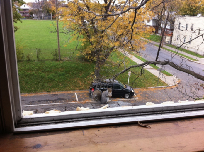 Источник: flytothesky.ru