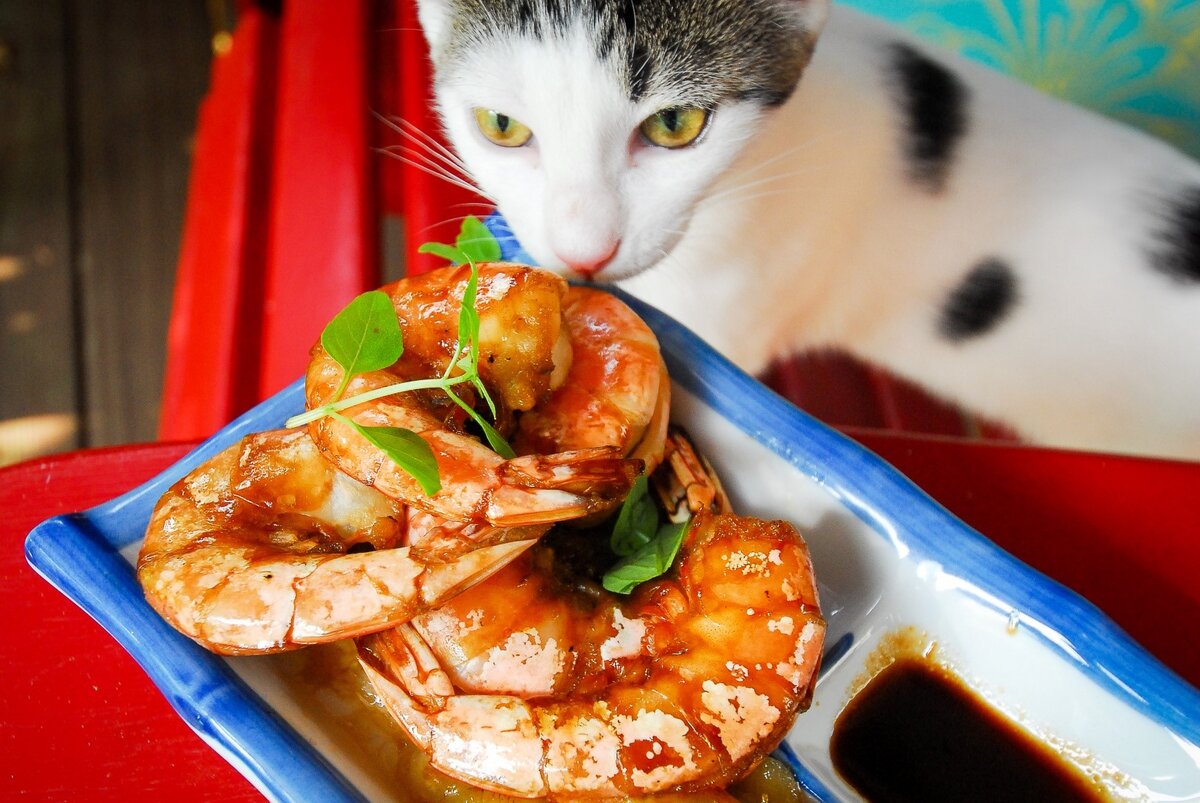 Фото из Интернета.