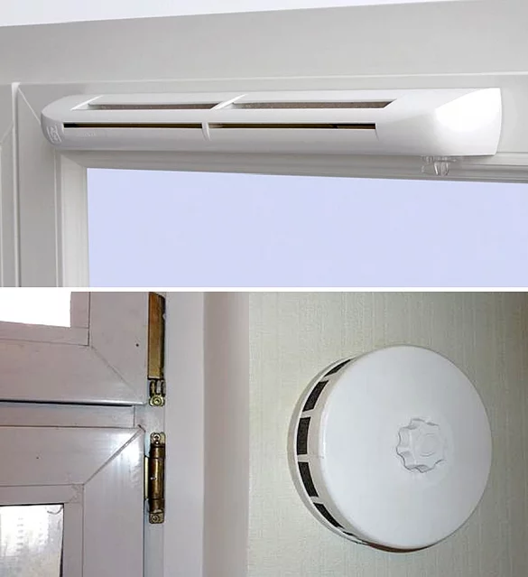 Фотография взята из источника kipmu.ru