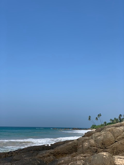 Фото из личной коллекции автора 