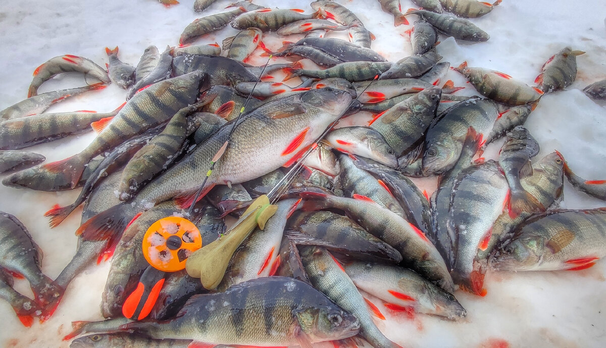 эта блесна на удочке с катушкой