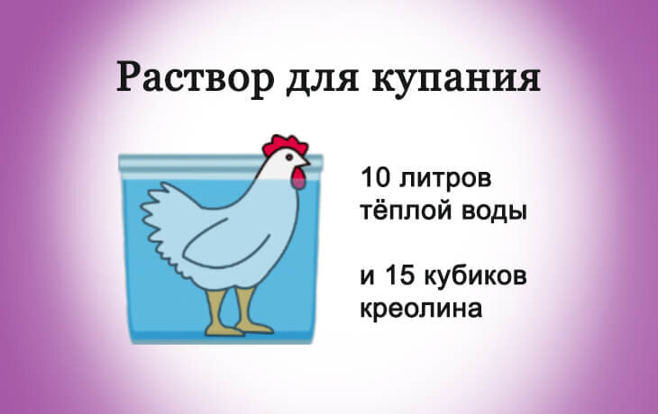Раствор для купания кур от паразитов